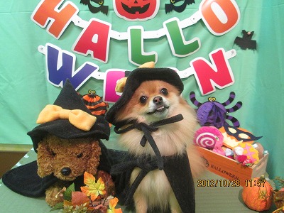 ファイル 5256-1.jpg