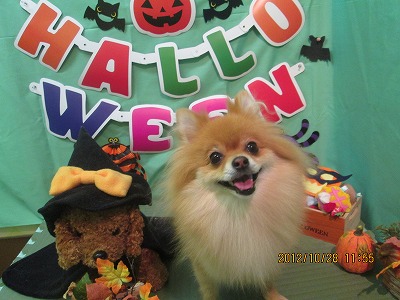 ファイル 5256-2.jpg