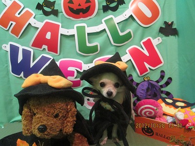 ファイル 5257-1.jpg