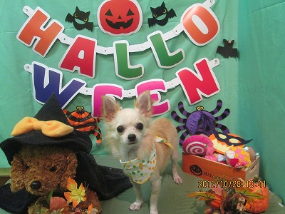 ファイル 5257-2.jpg