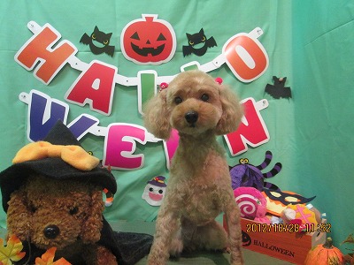 ファイル 5258-2.jpg