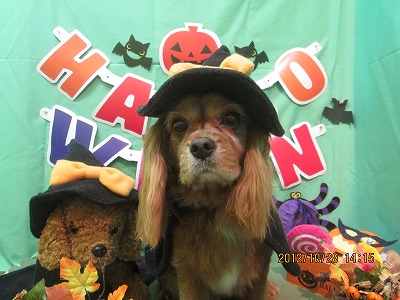 ファイル 5259-1.jpg