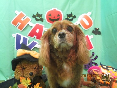 ファイル 5259-2.jpg