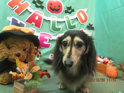 ファイル 5260-2.jpg