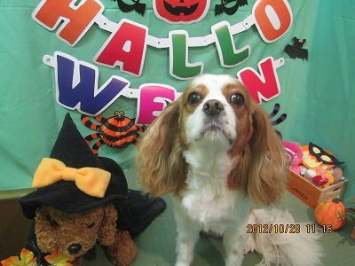 ファイル 5261-2.jpg