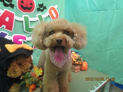 ファイル 5263-2.jpg