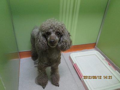 ファイル 5269-1.jpg