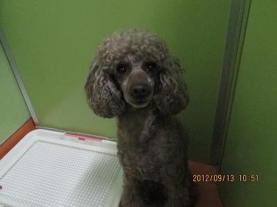 ファイル 5269-2.jpg