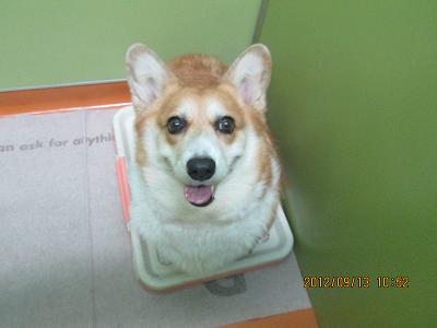 ファイル 5270-1.jpg