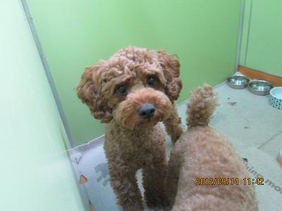 ファイル 5271-1.jpg