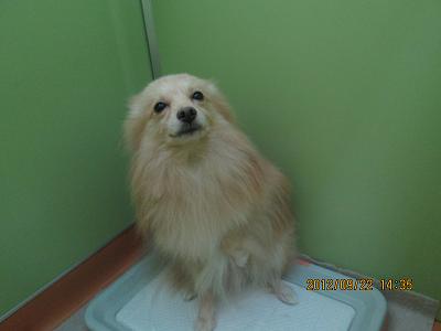 ファイル 5273-2.jpg