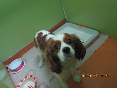 ファイル 5281-2.jpg