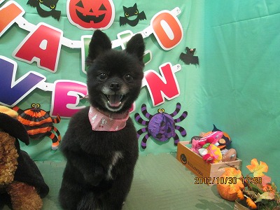 ファイル 5283-2.jpg