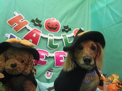 ファイル 5284-1.jpg