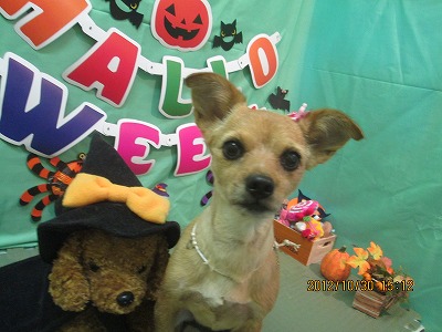 ファイル 5285-2.jpg