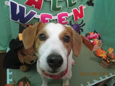 ファイル 5286-2.jpg