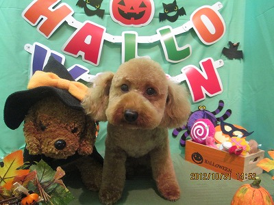 ファイル 5288-2.jpg