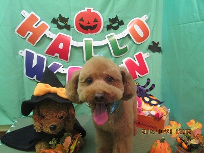 ファイル 5290-2.jpg