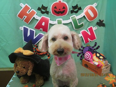 ファイル 5291-2.jpg