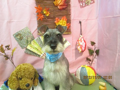 ファイル 5295-2.jpg