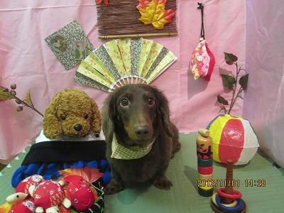 ファイル 5296-2.jpg