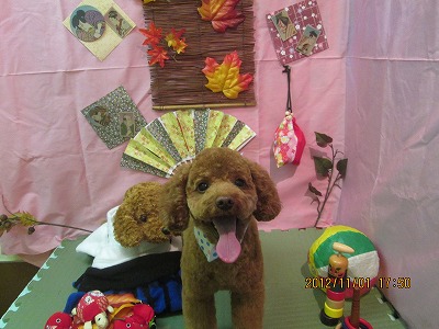 ファイル 5297-2.jpg