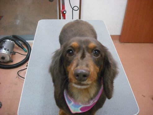 ファイル 53-1.jpg