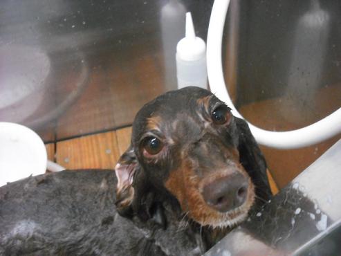 ファイル 53-2.jpg