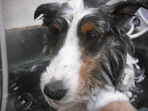 ファイル 530-2.jpg