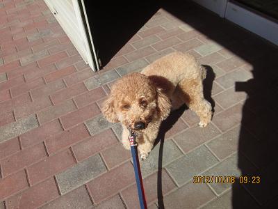 ファイル 5302-2.jpg