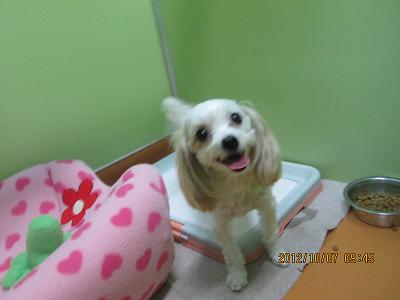 ファイル 5304-2.jpg