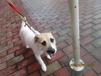 ファイル 5305-2.jpg