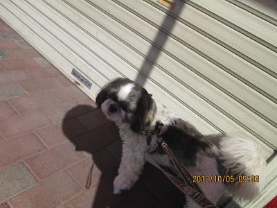 ファイル 5306-2.jpg