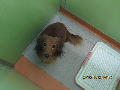 ファイル 5309-2.jpg