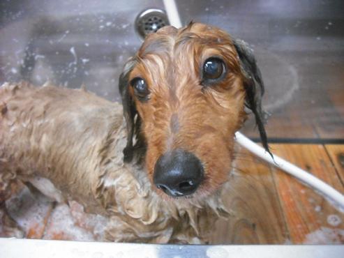 ファイル 531-2.jpg