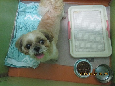 ファイル 5311-2.jpg