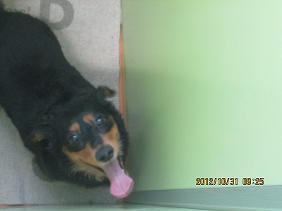 ファイル 5314-2.jpg