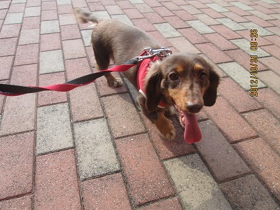 ファイル 5315-2.jpg