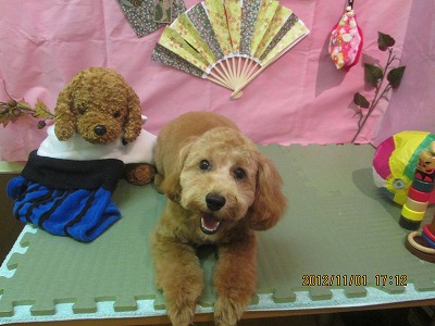 ファイル 5318-2.jpg