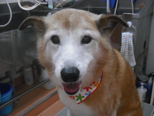 ファイル 532-1.jpg