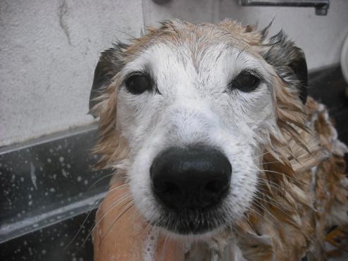 ファイル 532-2.jpg