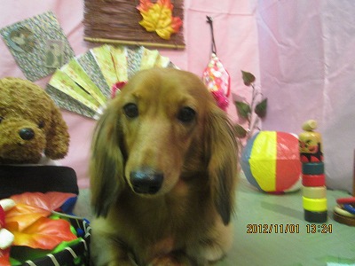 ファイル 5320-2.jpg