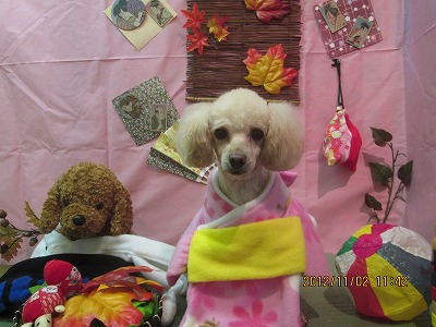 ファイル 5321-1.jpg