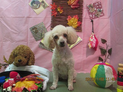 ファイル 5321-2.jpg