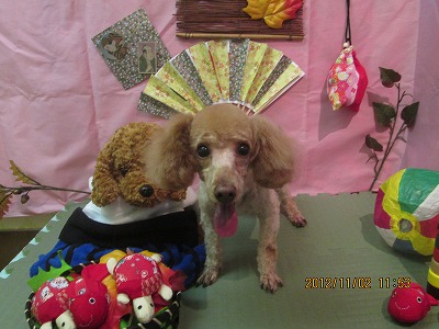 ファイル 5322-2.jpg