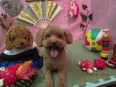 ファイル 5323-2.jpg