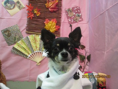 ファイル 5325-1.jpg