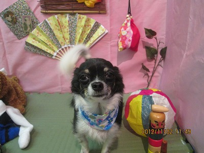 ファイル 5325-2.jpg