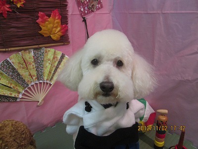 ファイル 5326-1.jpg