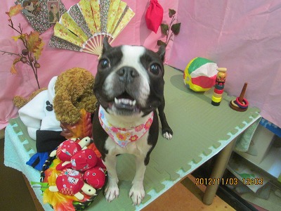 ファイル 5328-2.jpg